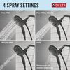 4-Setting Two-in-One Shower
