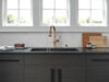 Single Handle Pull-Down Kitchen Faucet with Soap Dispenser and ShieldSpray&reg; Technology