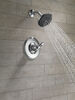 Shower Trim 14S (Recertified)
