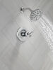 Monitor 17 Series Shower Trim