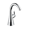 Transitional Beverage Faucet