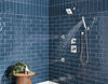 H<sub>2</sub>Okinetic&reg; 4-Setting Wall Mount Hand Shower