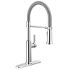 Single Handle Pull-Down Kitchen Faucet With Spring Spout