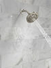 Fixed 5-Setting Showerhead