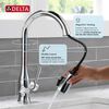 Single Handle Pull-Down Kitchen Faucet with Soap Dispenser and ShieldSpray&reg; Technology