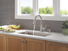 Single Handle Pull-Down Kitchen Faucet with Soap Dispenser and ShieldSpray&reg; Technology
