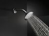 5-Setting Raincan Shower Head