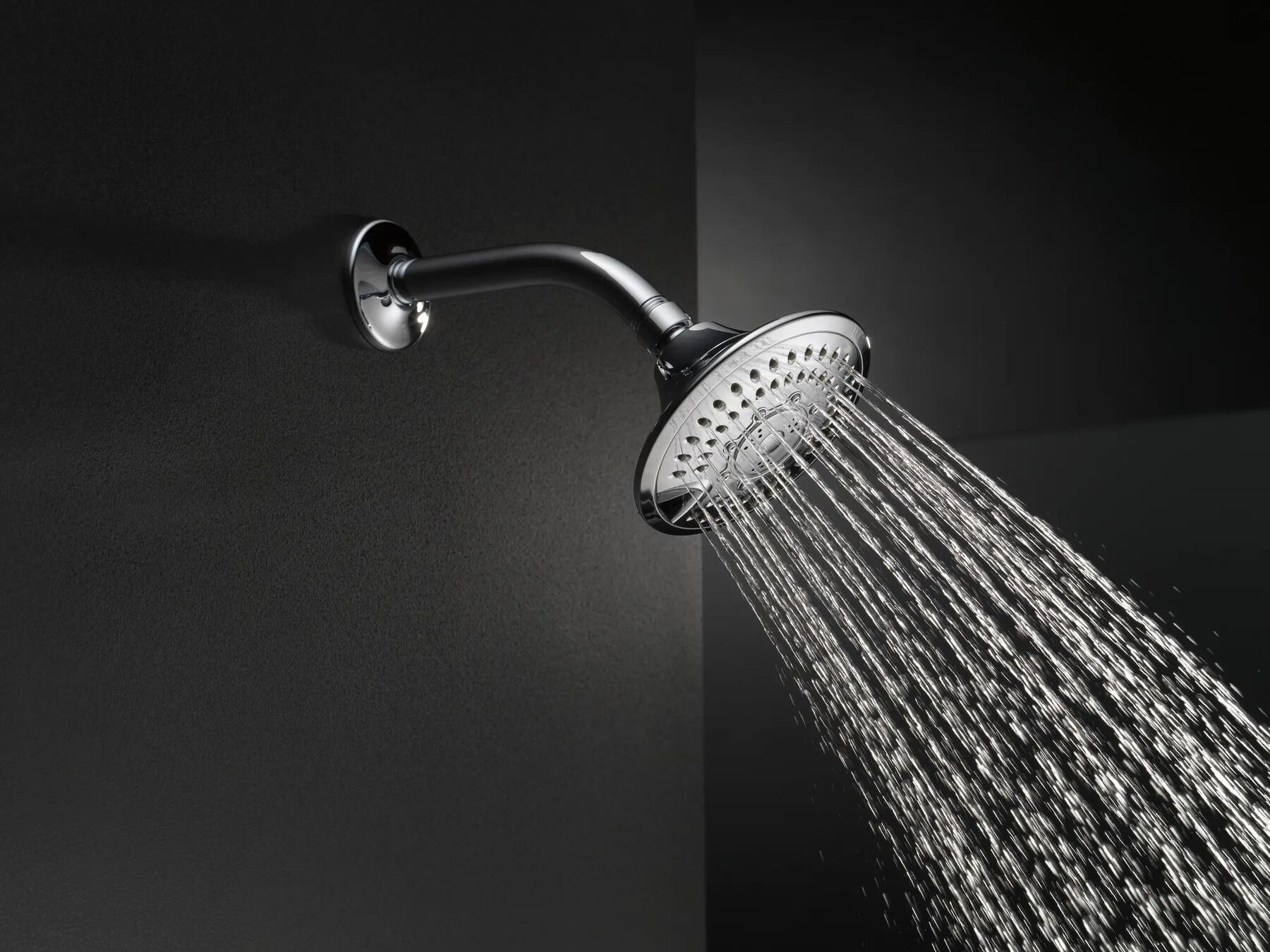 5-Setting Raincan Shower Head