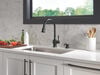 Pull-Down Kitchen 1 Handle with Soap Dispenser Bundle