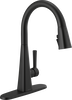 Single-Handle Pull-Down Kitchen Faucet