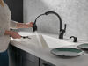 Single Handle Pull-Out Kitchen Faucet with Soap Dispenser and ShieldSpray &reg; Technology