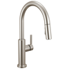 Single Handle Pull-Down Kitchen Faucet (Recertified)