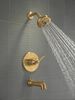 Monitor&reg; 14 Series Tub and Shower