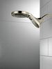 HydroRain&reg; 5-Setting Two-in-One Shower Head