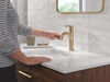Single Handle Pull-Down Bathroom Faucet