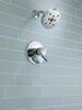 Monitor&reg; 17 Series H<sub>2</sub>Okinetic&reg; Shower Trim