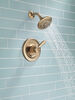 Monitor&reg; 17 Series Shower Trim
