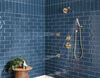 Monitor&reg; 17 Series H<sub>2</sub>Okinetic&reg; Shower Trim