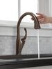 Single Handle Pull-Down Kitchen Faucet with Touch<sub>2</sub>O&reg; and ShieldSpray&reg; Technologies