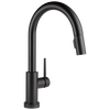 Single Handle Pull-Down Kitchen Faucet with Touch<sub>2</sub>O&reg; Technology Technology (Recertified)