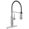 Pull-Down Kitchen Faucet (Recertified)