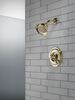 Monitor&reg; 17 Series Shower Trim