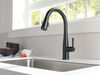 Single Handle Pull-Down Kitchen Faucet with Touch<sub>2</sub>O&reg; Technology