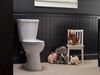 Toilet with FlushIQ&reg; - Elongated Front