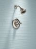 Monitor&reg; 14 Series H<sub>2</sub>Okinetic&reg; Shower Trim