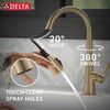 Single Handle Pull-Down Kitchen Faucet with ShieldSpray Technology