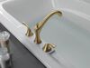 Roman Tub Trim