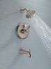 MultiChoice&reg; 14 Series Temp2O&reg; Tub & Shower
