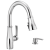 Single Handle Pull-Down Kitchen Faucet with Soap Dispenser and ShieldSpray &reg; Technology