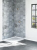 Monitor&reg; 14 Series H<sub>2</sub>Okinetic&reg; Shower Trim