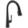Pull-Down Kitchen w/ShieldSpray (Recertified)