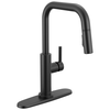 Single Handle Pull-Down Kitchen Faucet (Recertified)