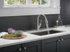 Single Handle Pull-Down Kitchen Faucet (Recertified)