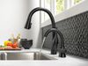 Transitional Beverage Faucet - Manual
