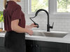 Pull-Down Kitchen Limited Swivel (Recertified)