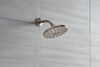 Shower Arm
