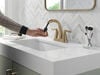 Two Handle Centerset Pull-Down Bathroom Faucet