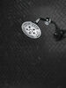 H<sub>2</sub>Okinetic&reg; 5-Setting Transitional Raincan Shower Head