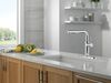 Single Handle Pull-Out Kitchen Faucet (Recertified)