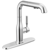 Single Handle Pull-Out Kitchen Faucet (Recertified)