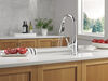 Pull-Down Kitchen 1 Handle with Soap Dispenser Bundle