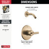 Monitor 14 Series Shower Trim - Less Head