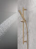 2-Setting Hand Shower with ProClean&trade; Spray &ndash; Slide Bar Mount