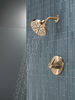 Monitor&reg; 14 Series H2Okinetic&reg; Shower