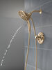 17 Series Shower Trim (Recertified)