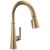 Pull-Down Kitchen w/ShieldSpray (Recertified)